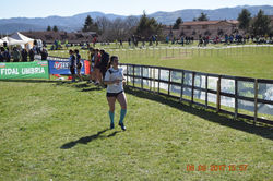 DSC_0113 (FILEminimizer)