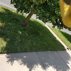 20180629_141458.jpg