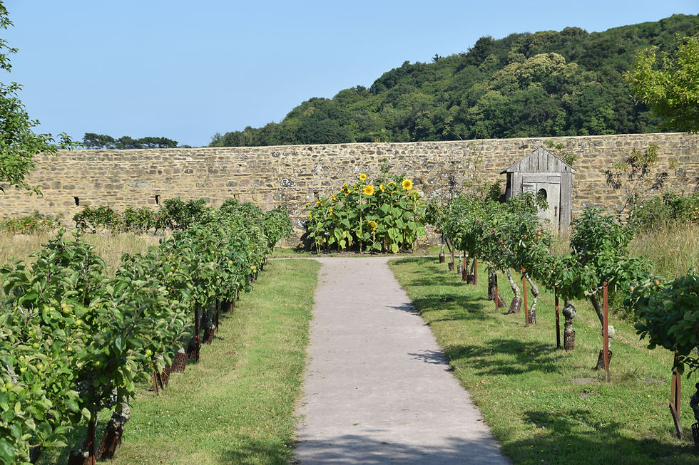 jardines con huerto y