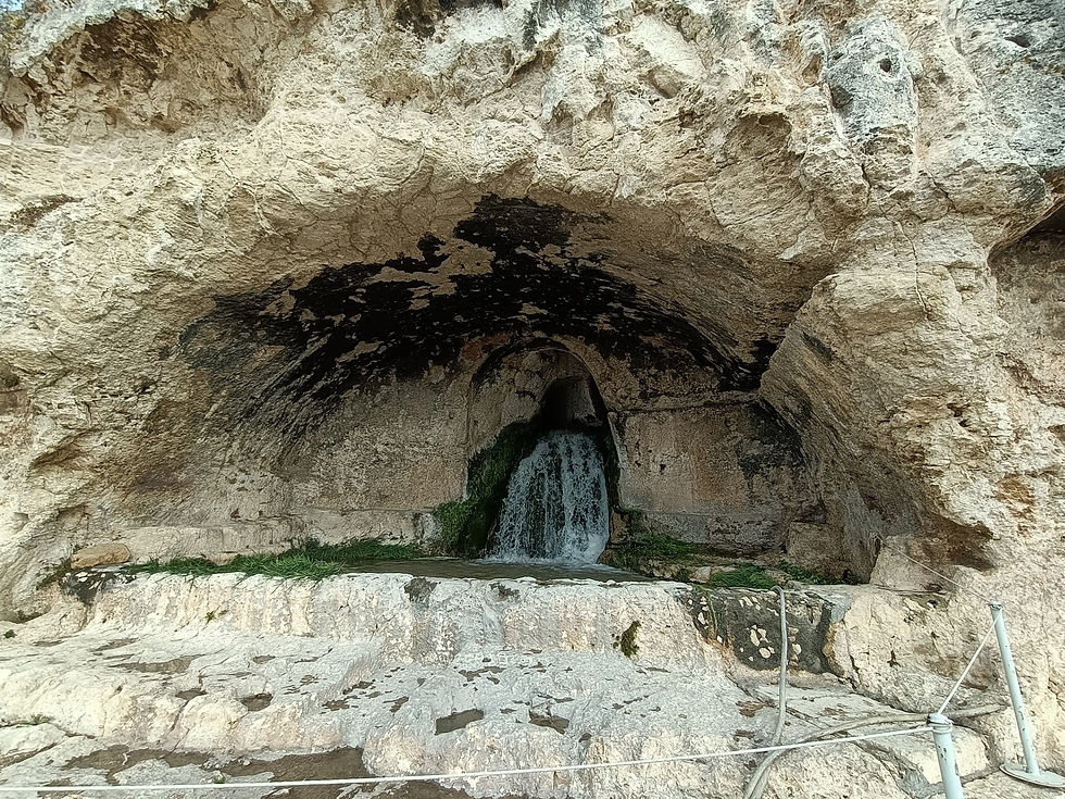 Surgimiento de agua en la pared, gruta del ninfeo