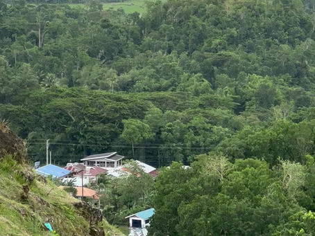 Bohol’s Tarsiers & Bon Bons