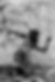 Copy of 065A1543_1.jpg