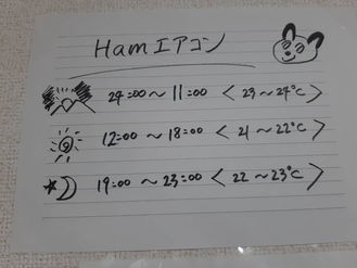 HamsterPark6.jpeg