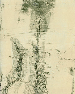 monotype 1