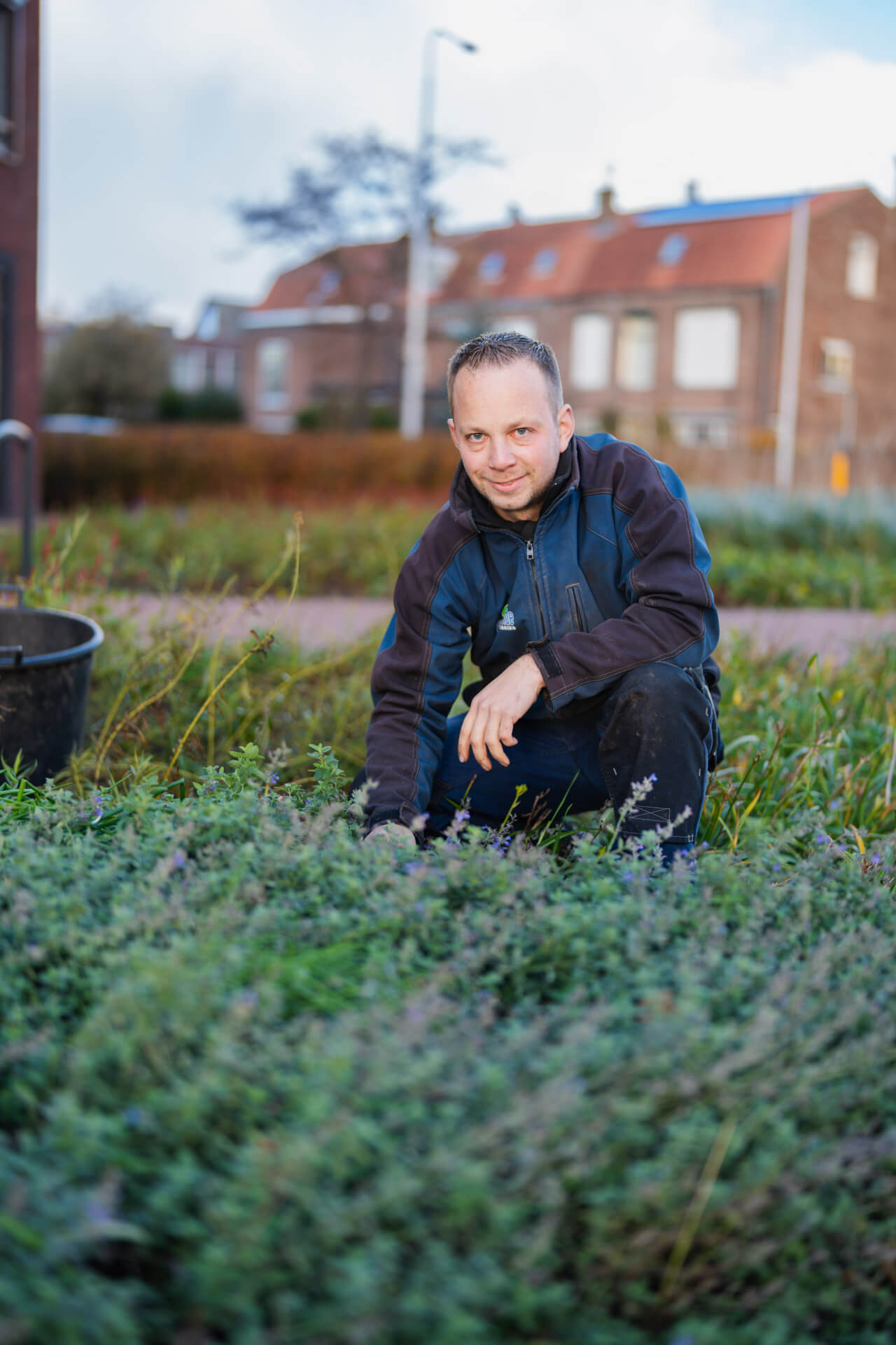 Van de Velde Groenverzorging