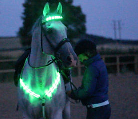 glow-show.jpeg