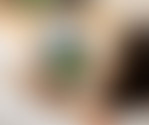 April Venue Circular