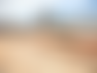 Bruno Reis vistoria obras e afirma que trecho final do BRT deve ser entregue no aniversário de Salva