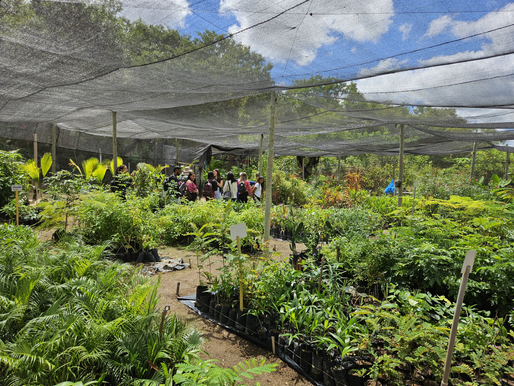 Embasa celebra marca de 800 mil mudas doadas em 13 viveiros educadores distribuÃdos pela Bahia