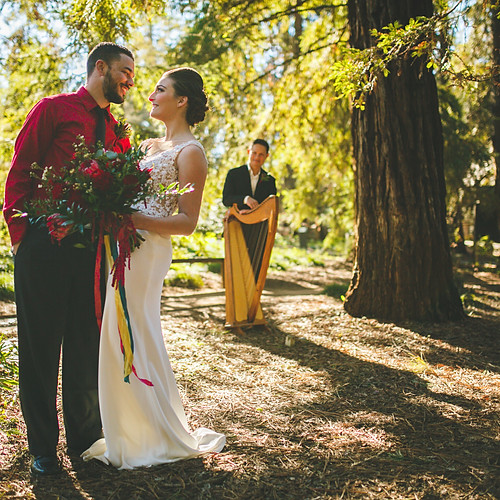 Redwood Elopement