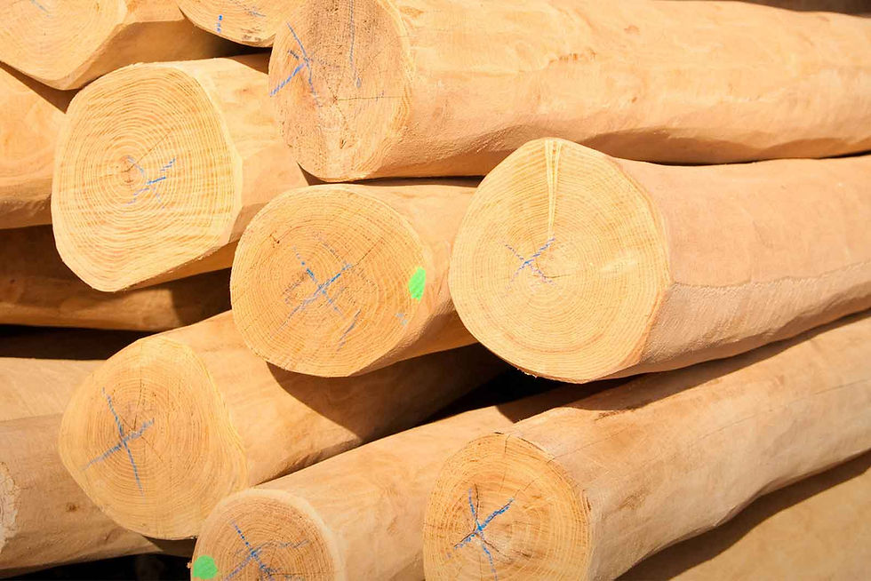 Stacked wooden logs with smooth cut ends, prepared for construction or crafting | Натрупани дървени трупи с гладки отрязани краища, подготвени за строителство или изработка