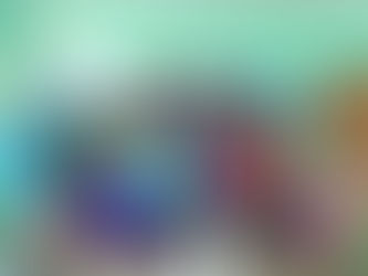 Drie maanden in vogelvlucht. Vlieg je mee?