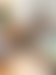 Spotlight: Francis Salvesen
