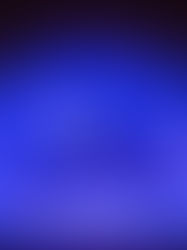 The Week in Colour 25.11.19