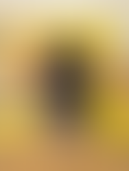 The Week in Colour 25.06.18