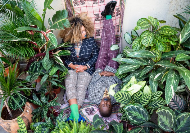 The Garden Museum in Lambeth is launching the first ever Houseplant Festival, curated by Alice Vincent
