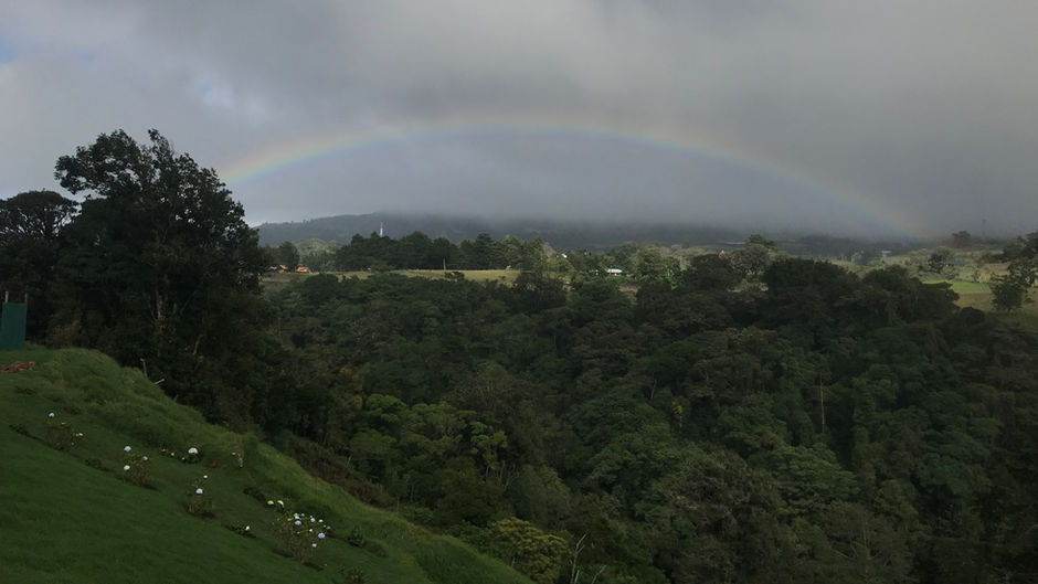 1 Week Exploring the Rainforests of Costa Rica: Experience "Pura Vida" With Me