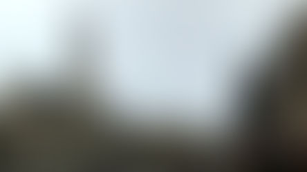 My Top 5 Food Items to Try in Brussels, Belgium