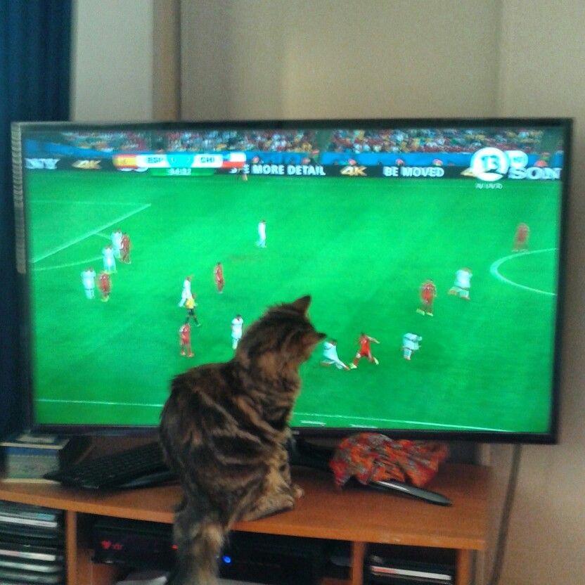 Yazarın fotoğrafı: Yusuf