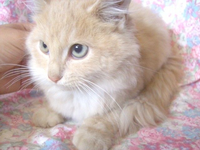 Yazarın fotoğrafı: İlayda Haşim