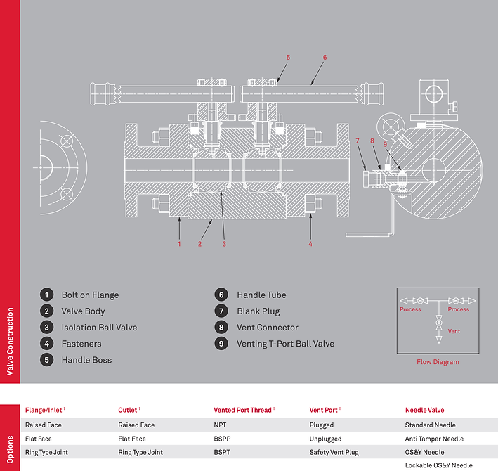 Alco Y-series DBB Valve Flange x Flange