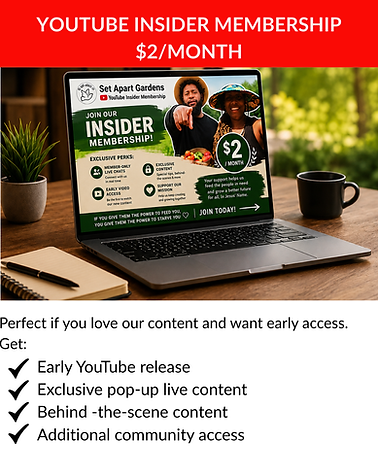 Promo Graphics (1).png