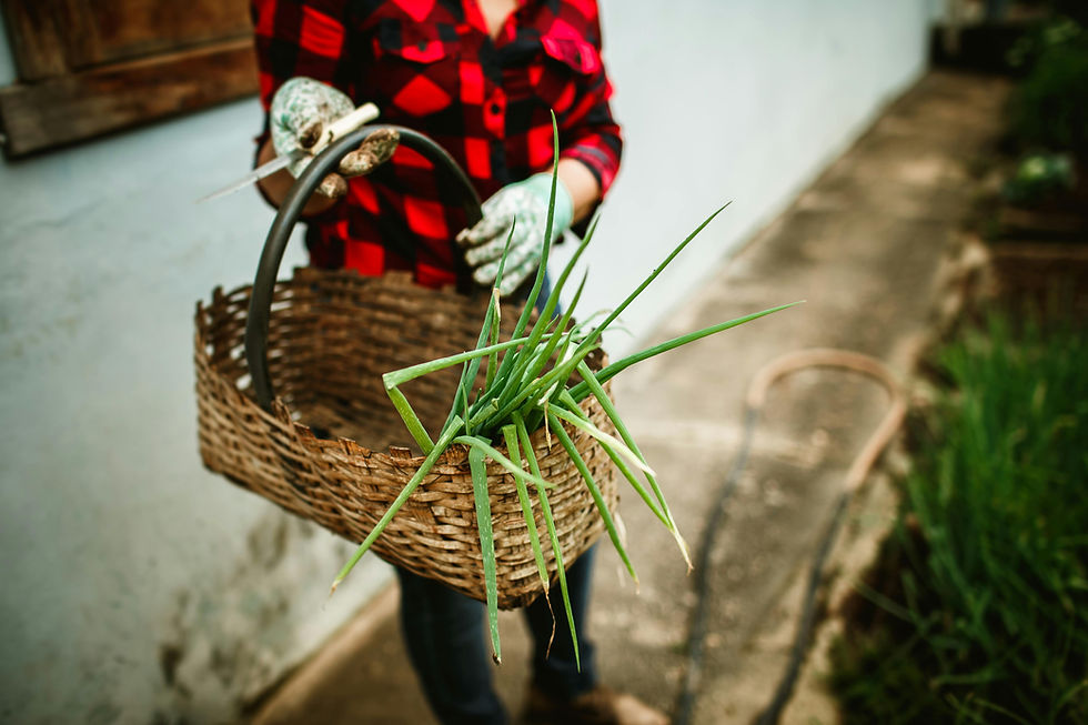 Mastering the 5th Essential Survival Skill