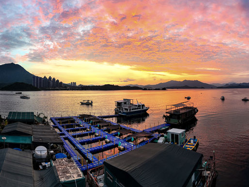 SIP Commits HKD 1 Million to Hong Kong Aquaculture to Advance Sustainable Seafood Production and Inclusive Employment