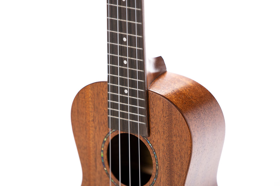 Thumbnail: Leolani 4 String Concert Solid Top Mahogany TUX Finish Ukulele