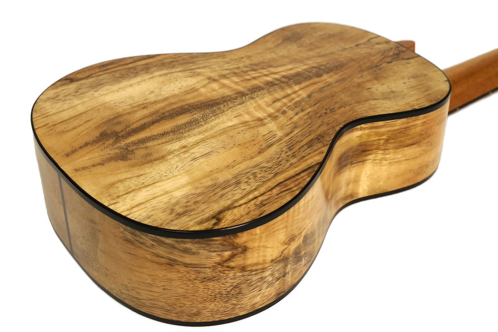 サムネイル： Kumu Concert Hawaiian Mango TUX Finish