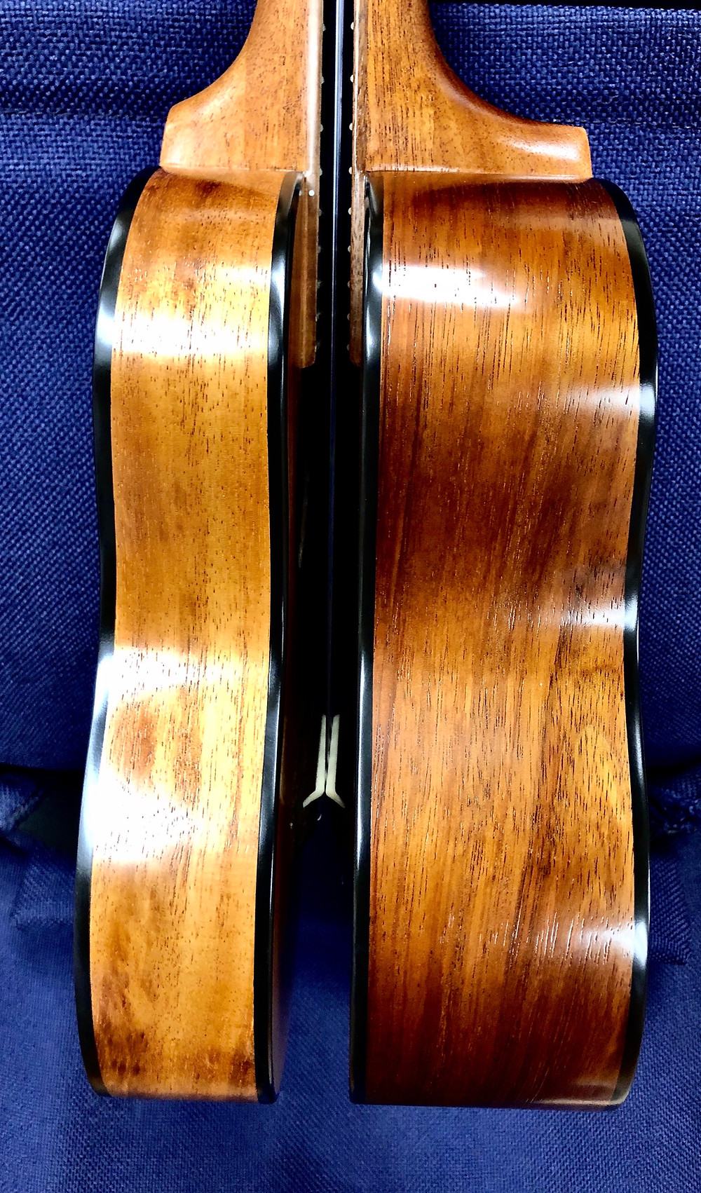 Model Comparison