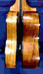 Model Comparison
