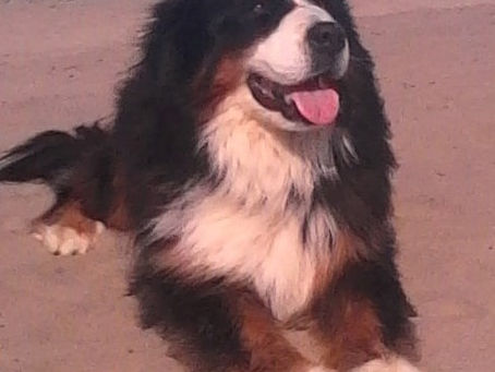 Cet amour invisible...