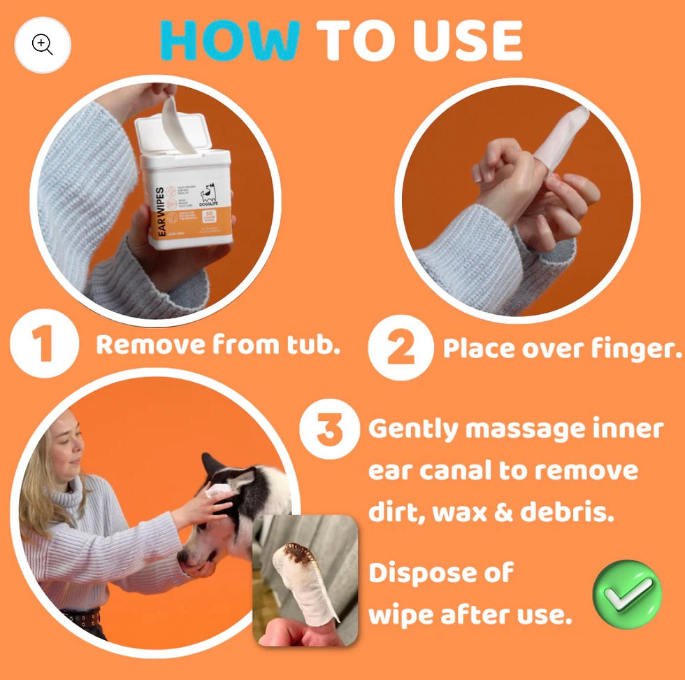 Thumbnail: THORNIT Powder 20g (with easy application brush) & Aloe Vera finger wax wipes