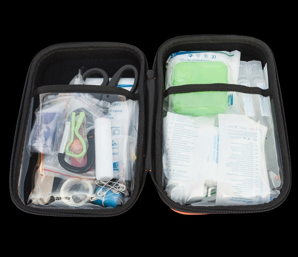 Thumbnail: First Aid Kit - A Must Have for every Pet Owner