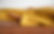 ranurte-xfg7EmNZXXU-unsplash.jpeg