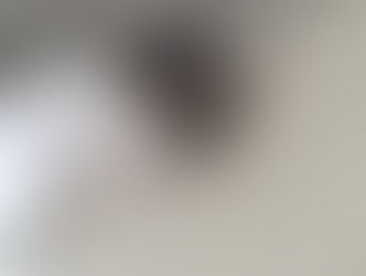 しってるからこそ、しっかり経験