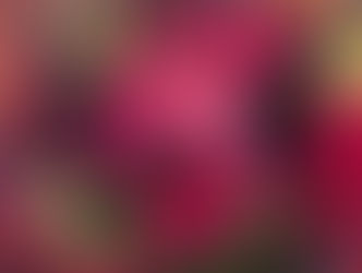 8月11日にランチ会やります!