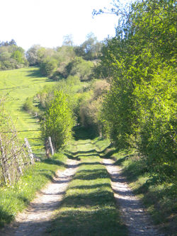 balade contée compagnie des coeurs vagabonds