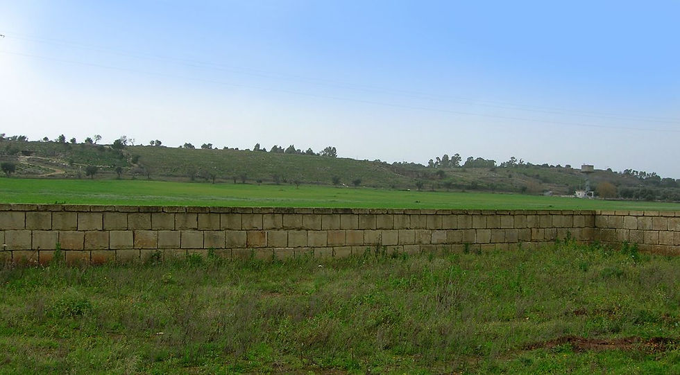 STALI FOTO1