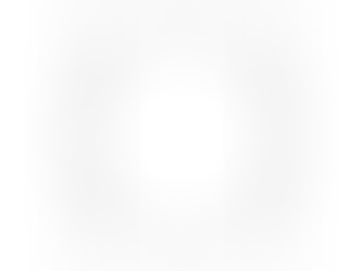 O PONTO DENTRO DO CÍRCULO: HISTÓRIA, ESCRITURA E TRADIÇÃO MAÇÔNICA