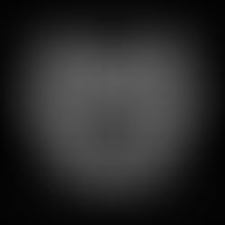 UM ANO DE MAÇONARIA COM EXCELÊNCIA