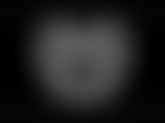 UM ANO DE MAÇONARIA COM EXCELÊNCIA