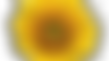 La suite de Fibonacci