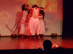 Apresentacao Instituto Frances