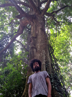 Floresta Sagrada em Ouidah