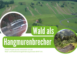 Wald als Hangmurenbrecher