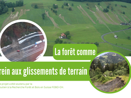 La forêt comme frein aux glissements de terrain