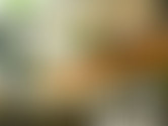 Protective effect after forest fire