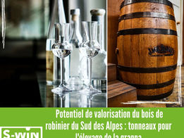 Potentiel de valorisation du bois de robinier du Sud des Alpes: tonneaux pour l'élevage de la grappa